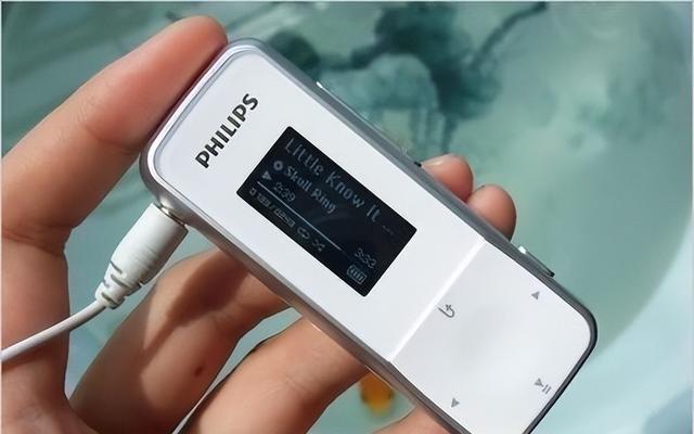 d8f9d72a6059252d53717282620619355ab5b979.jpeg@f_auto